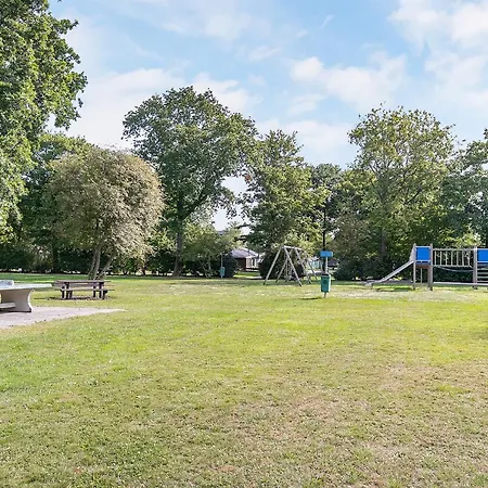 Goudvink * Dirkshorn