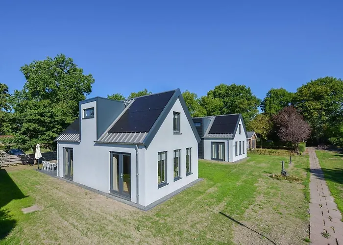 Goudvink * Dirkshorn