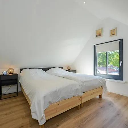 Goudvink Feriehus Dirkshorn