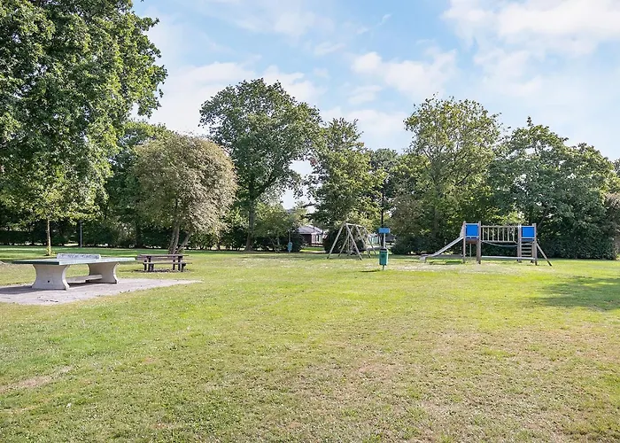 Goudvink * Dirkshorn